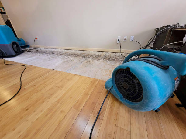 Professional Flood Damage Cleanup technician working in Robbins, IL